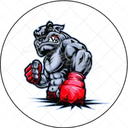 PSÍ BOXER